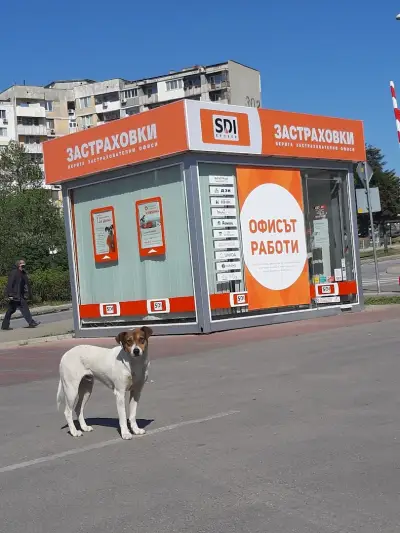 SDI брокер - Застраховки