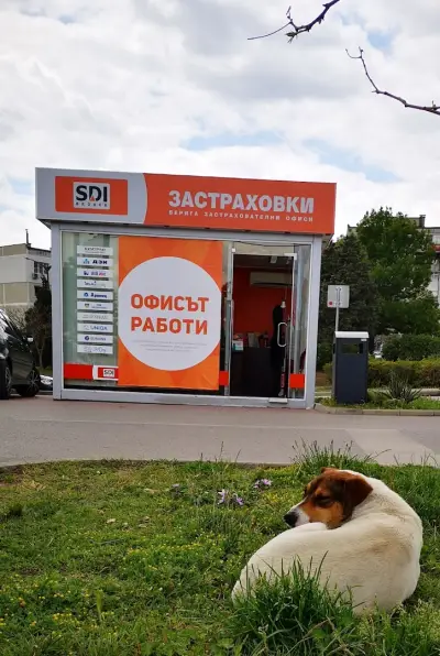 SDI брокер - Застраховки