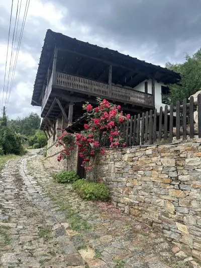 Little Bird Artist Residency