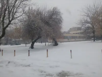 МЦ I Стамболийски ЕООД