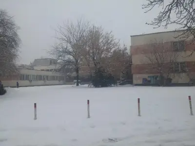 МЦ I Стамболийски ЕООД