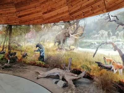 Палеонтологично находище - Дорково