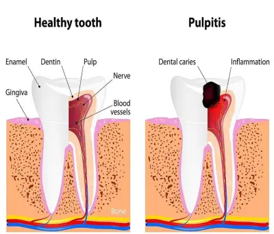 Dental Clinic