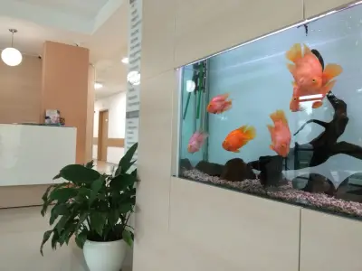 Вива клиник