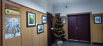 Община Ракитово