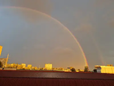 Велекс ИНК ООД