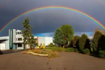 Елукс