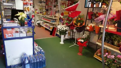 Дом и градина