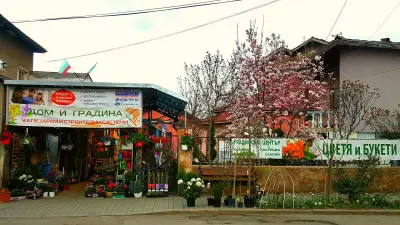 Дом и градина