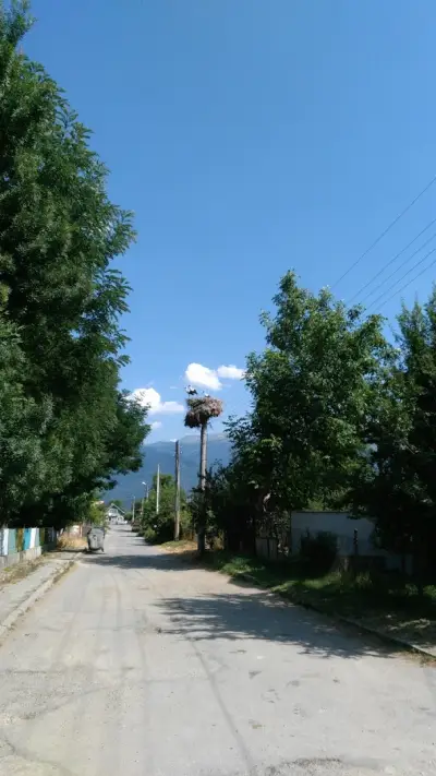 Домашни потреби - 1001 стоки