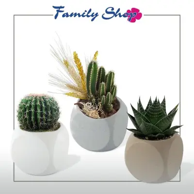 Family Shop