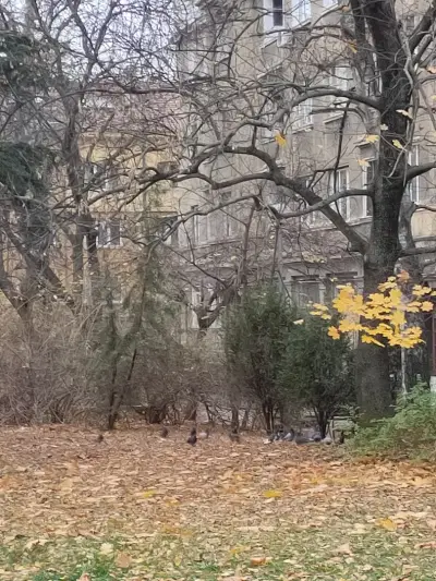 Читалище Христо Смирненски