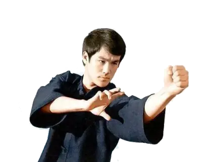 Джийт Кун До-Ескрима Сюангуей / Jeet Kune Do-Eskrima Xuangui