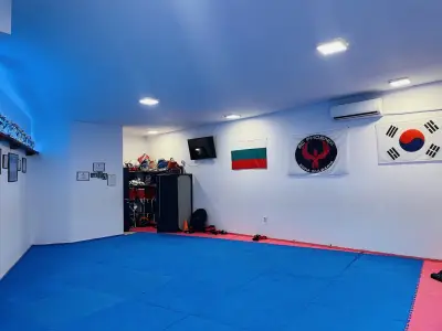 Клуб по таекуондо Феникс