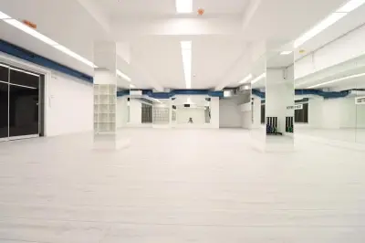 Академика спорт Kostov's Dojo
