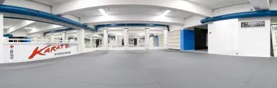 Академика спорт Kostov's Dojo
