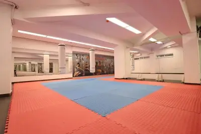 Академика спорт Kostov's Dojo