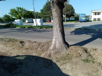 Стадион "Любимец"