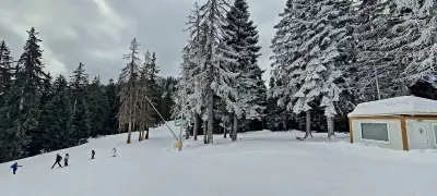 Flow Ski Academy