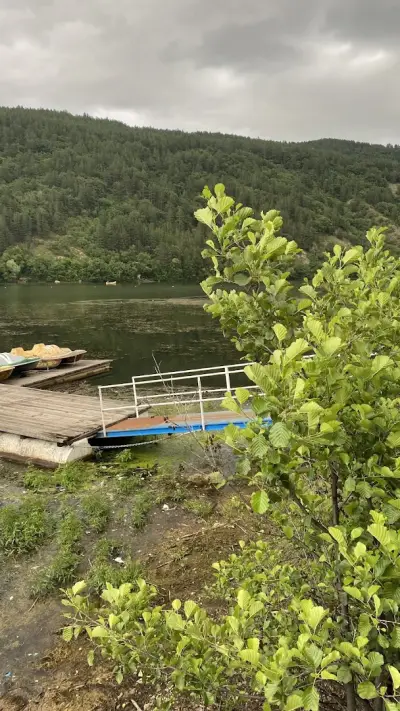 Гребен клуб Армеец