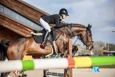 SYH Sport Horses