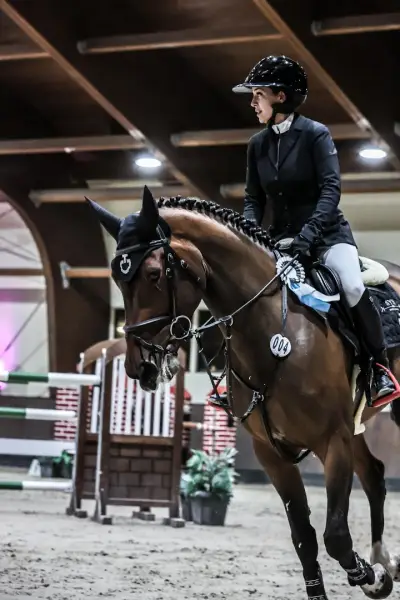 SYH Sport Horses