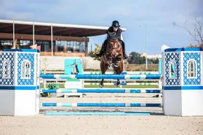 SYH Sport Horses