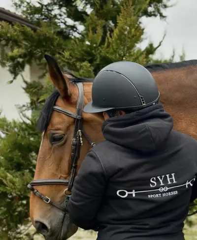 SYH Sport Horses