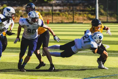Sofia Bears - american football club