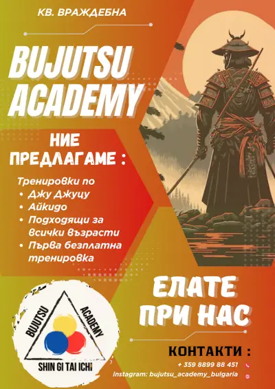 Bujutsu Academy
