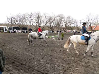 Horse riding club "Equestre"