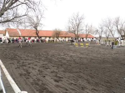 Horse riding club "Equestre"