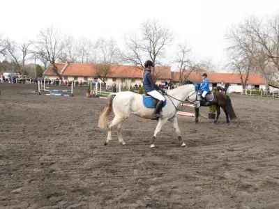 Horse riding club "Equestre"