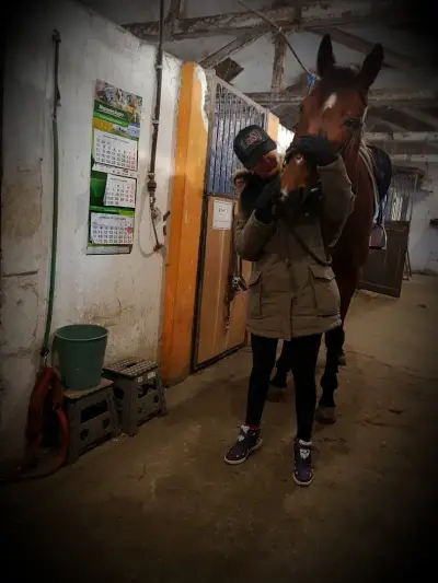 Horse riding club "Equestre"