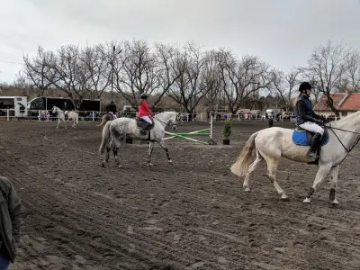 Horse riding club "Equestre"