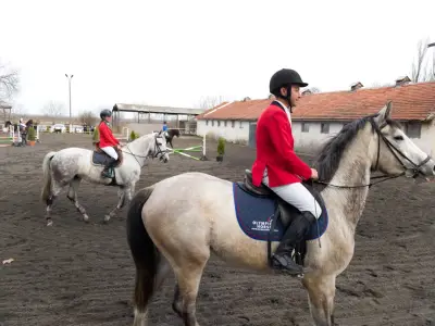 Horse riding club "Equestre"