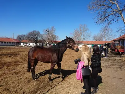Ездови клуб `Силвена спорт`