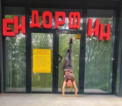 Ендорфин - Шумен