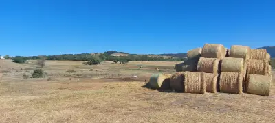 Bulbiking / Булбайкинг - Вело терапия