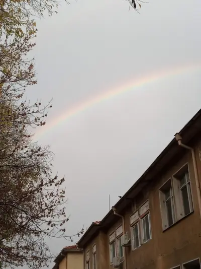 ВК „Виктория волей“