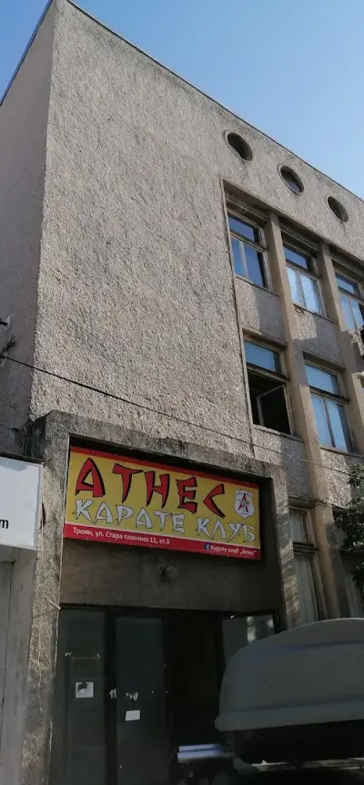 Арена Атнес