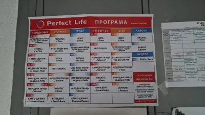 Perfect life