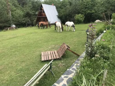 КЛУБ ПО КОНЕН СПОРТ РУСАЛИИТЕ