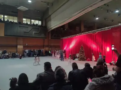 Клуб по художествена гимнастика „Левски“
