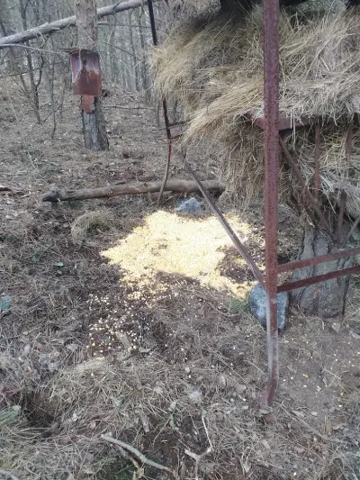 Ловен дом село Радотина