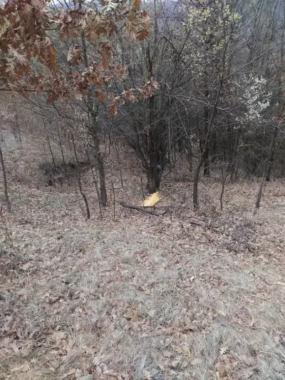 Ловен дом село Радотина