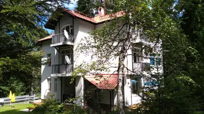 The Forest Villa Borovets