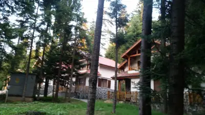 The Forest Villa Borovets
