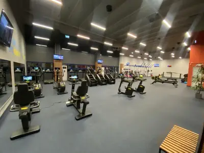 Next Level Fitness Дружба
