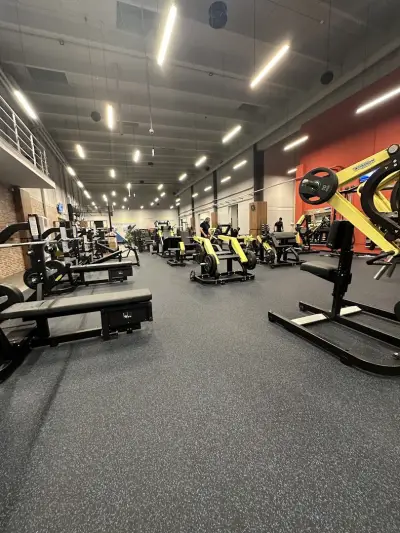 Next Level Fitness Дружба